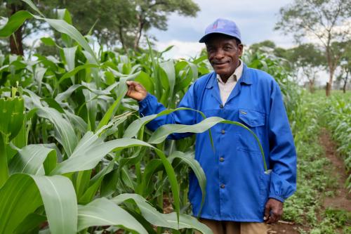 Farmer Christopher Chamoto in his maize field in Kapiri Mposhi where he implemented Virtual Agronomist.