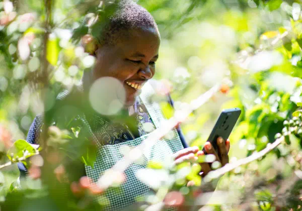Farmer using a mobile phone among crops
