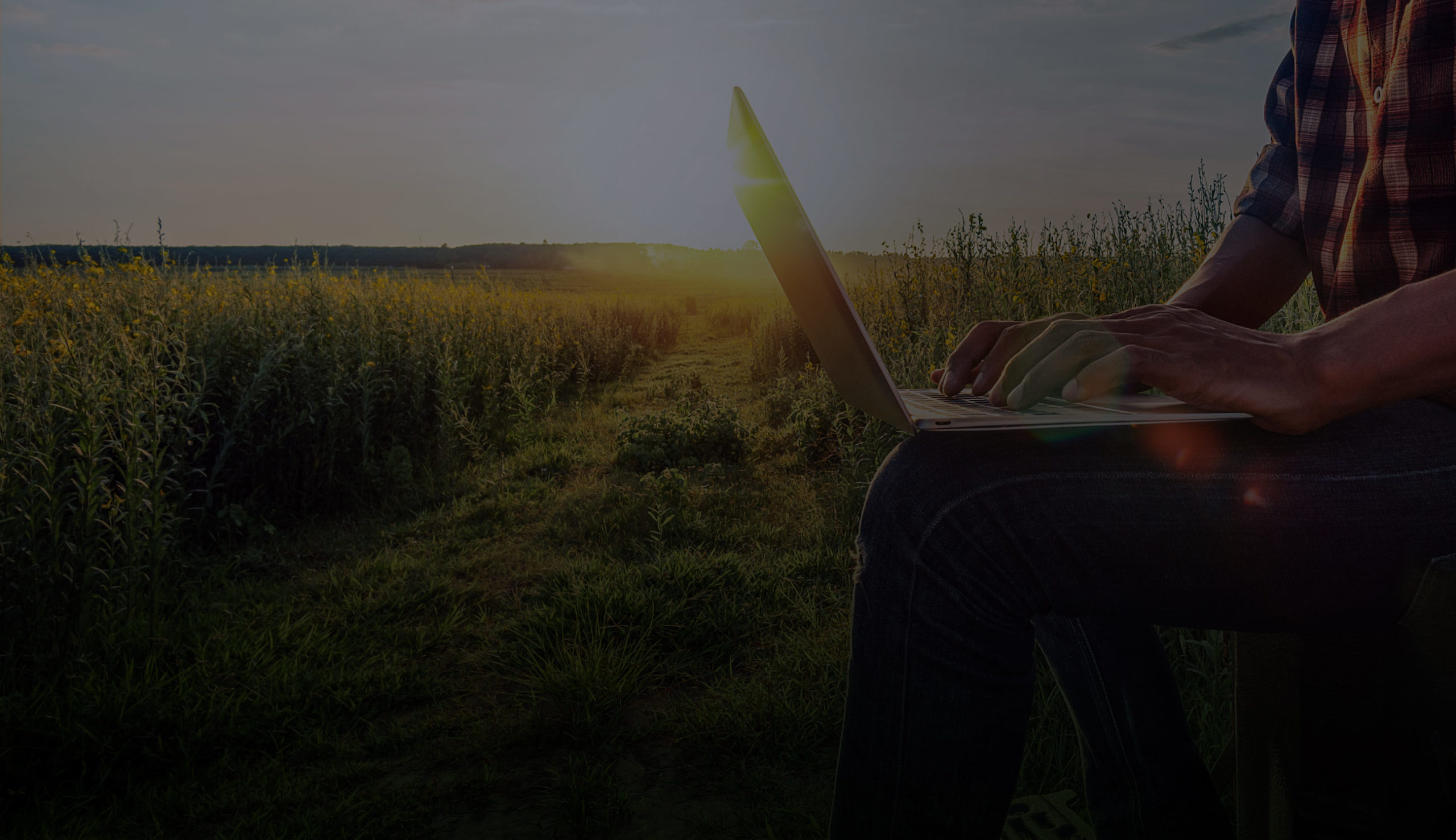 Male farm worker with laptop in a field of crops collecting smart farming data to improve crop yields